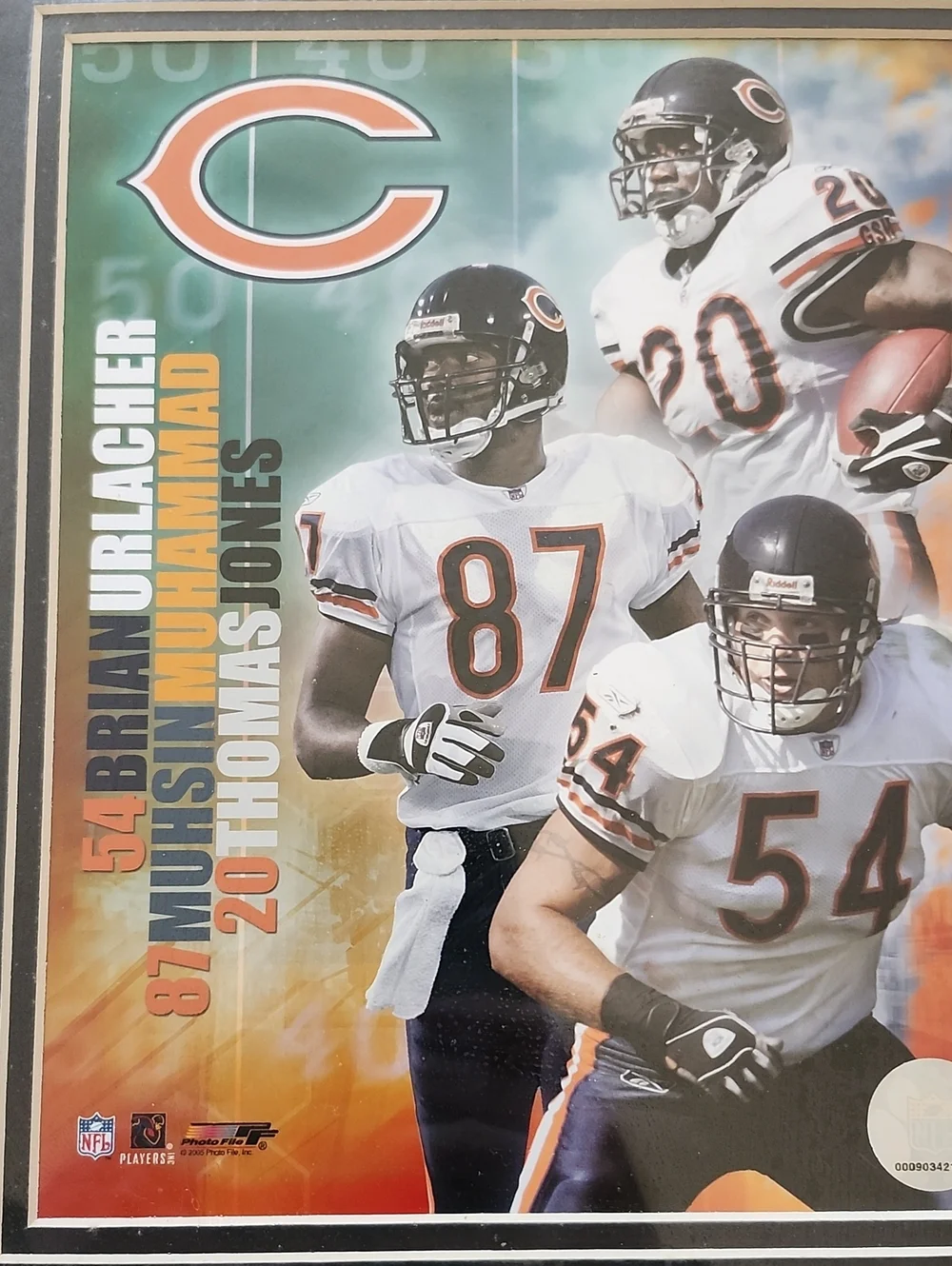NFL Bears Black Framed Wall Art NFL Licensed
